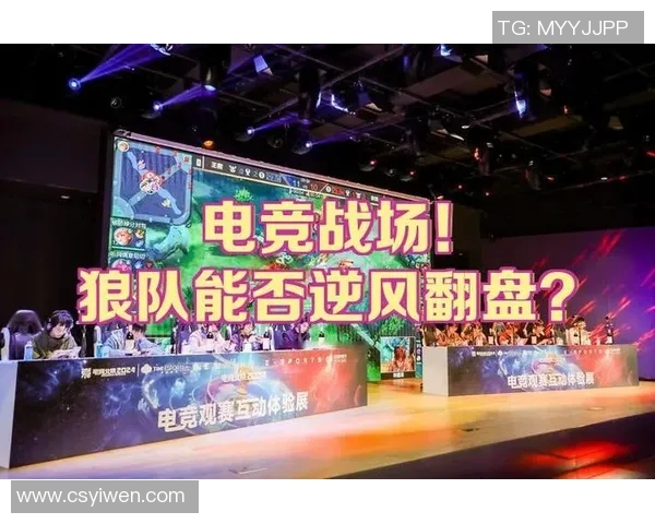 电竞数据电竞比分CSGO纪实探讨EDG在转型过程中面临的挑战与机遇